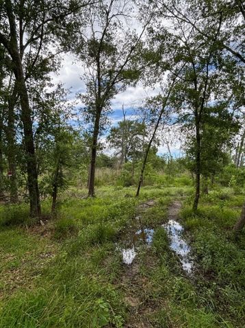 TBD N Bonnie Lake Dr, Hempstead, TX 77445