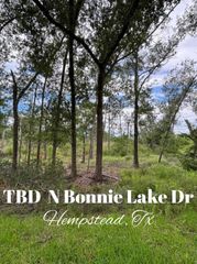 TBD N Bonnie Lake Dr, Hempstead, TX 77445