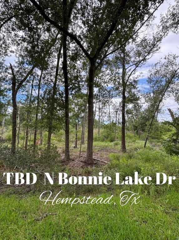 TBD N Bonnie Lake Dr, Hempstead, TX 77445