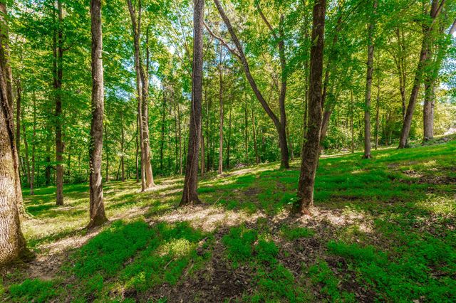4463 Heath Rd, Nashville, TN 37221