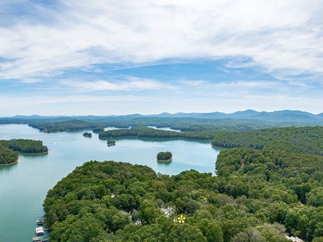 312 Campbell Camp Circle, Blue Ridge, GA 30513