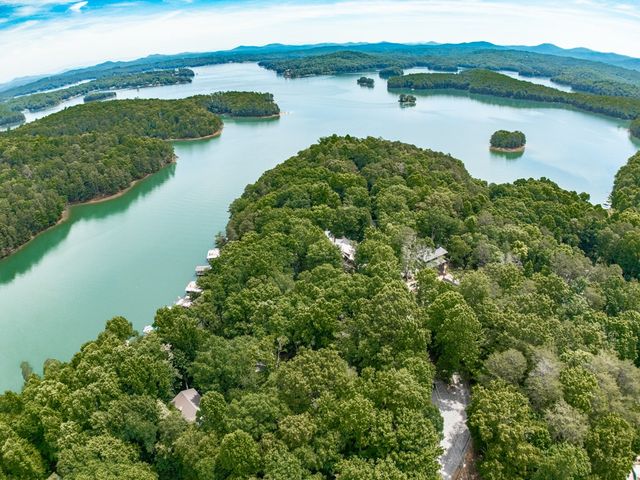 312 Campbell Camp Circle, Blue Ridge, GA 30513