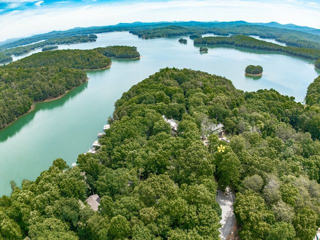 312 Campbell Camp Circle, Blue Ridge, GA 30513