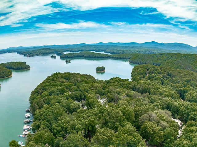312 Campbell Camp Circle, Blue Ridge, GA 30513