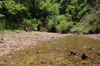 Perry Creek Road, Bentonia, MS 39040