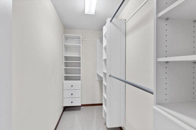 3091 Wilderness Path, Woodbury, MN 55129