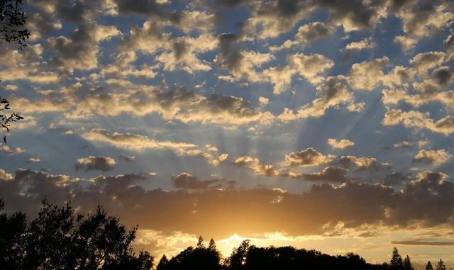 1440 Dog Bar, Colfax, CA 95713