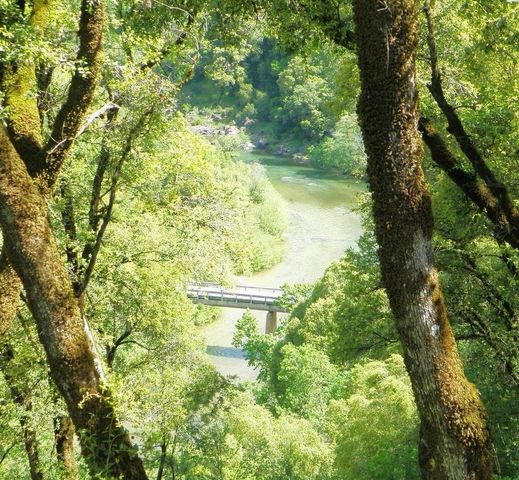 1440 Dog Bar, Colfax, CA 95713