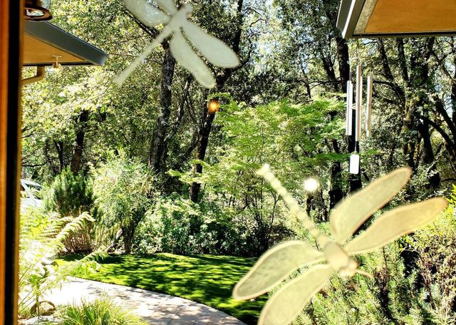 1440 Dog Bar, Colfax, CA 95713