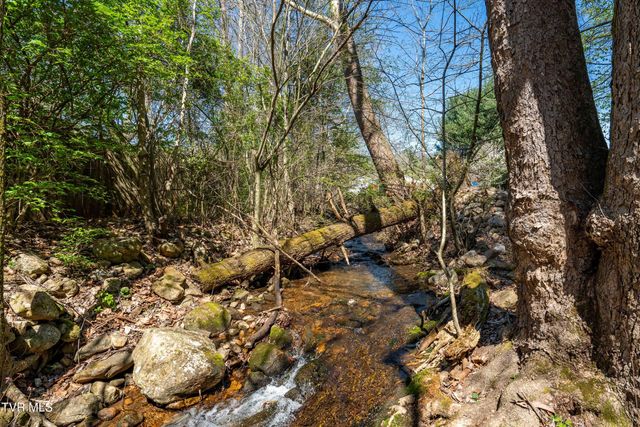 1676 Tn-91, Elizabethton, TN 37643