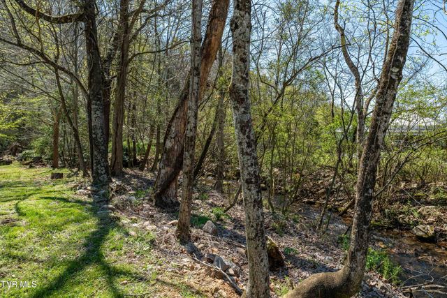 1676 Tn-91, Elizabethton, TN 37643