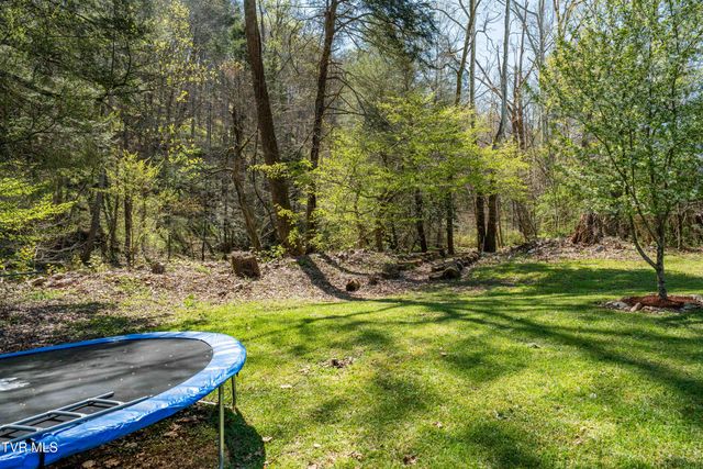 1676 Tn-91, Elizabethton, TN 37643