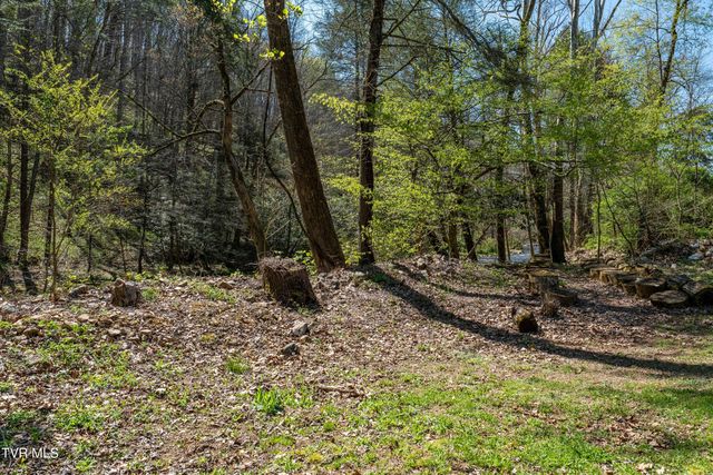 1676 Tn-91, Elizabethton, TN 37643