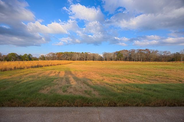 550 TRICE RD, Henderson, TN 38340