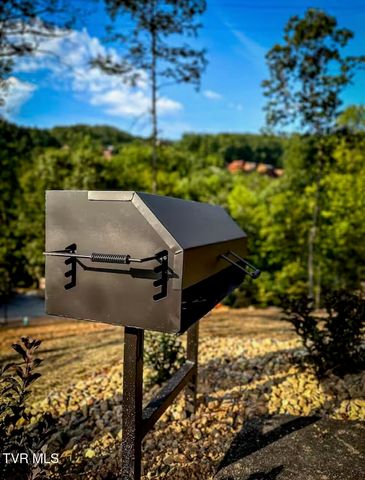 848 String Run Way, Lot 25, Pigeon Forge, TN 37863