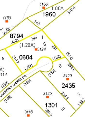 3124 Mountain Laurel Drive, Lenoir, NC 28645