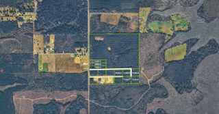 TBD Old Frost Rd, Livingston, LA 70754