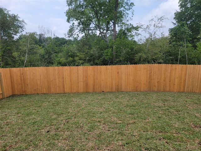 11732 Whirlaway Drive, Willis, TX 77318
