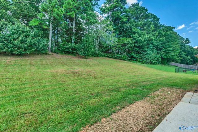 107 Wandering Lane, Harvest, AL 35749