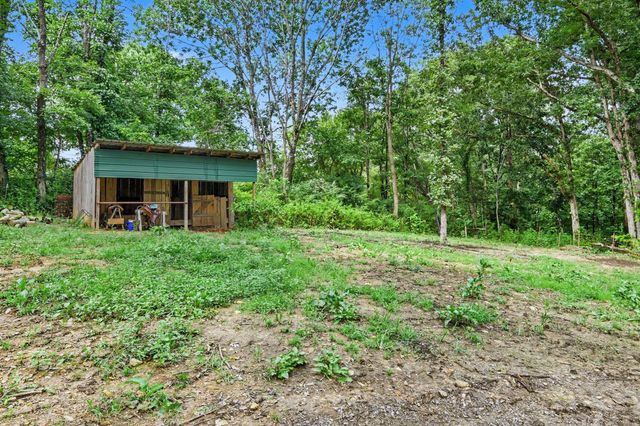 1040 Nosegay Rd, White Bluff, TN 37187