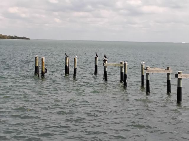 7100 SUNSHINE SKYWAY LANE S 705, St Petersburg, FL 33711