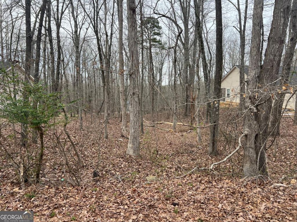 3254 Greenhill Court, Villa Rica, GA 30180