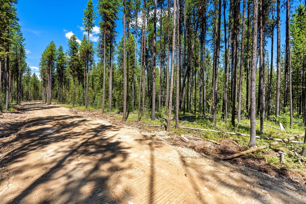 11680 North Fork Road, Polebridge, MT 59928 photo 14