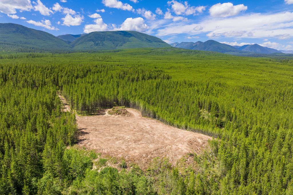 11680 North Fork Road, Polebridge, MT 59928 photo 17