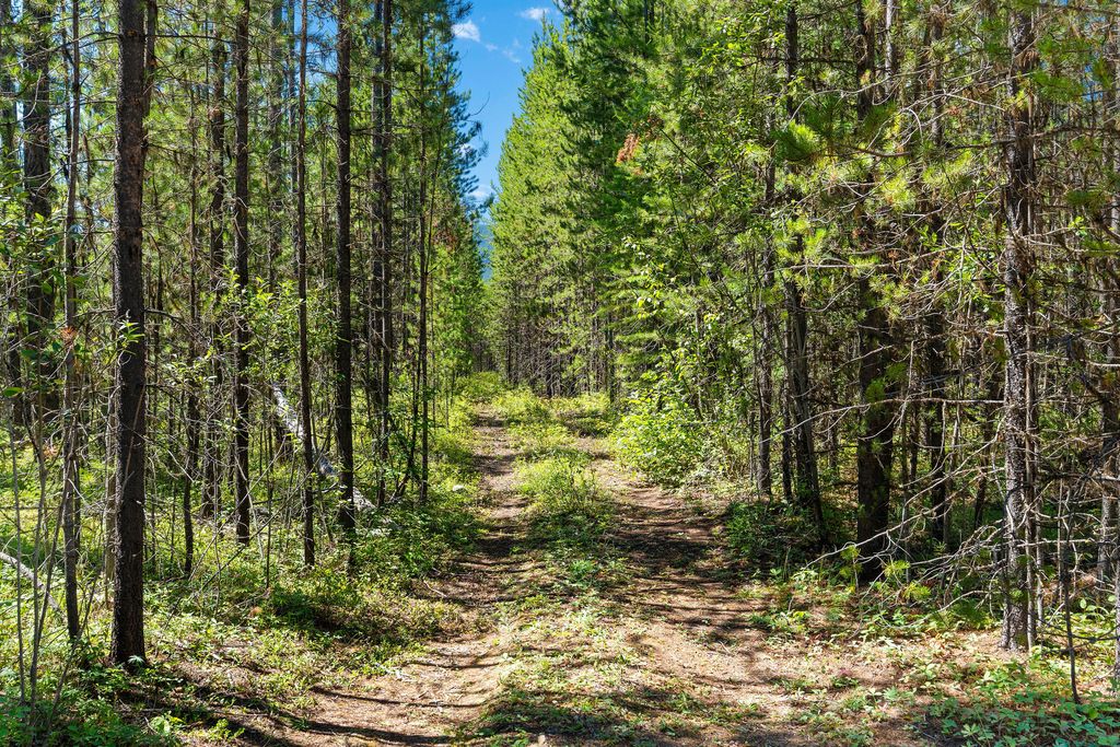 11680 North Fork Road, Polebridge, MT 59928 photo 19