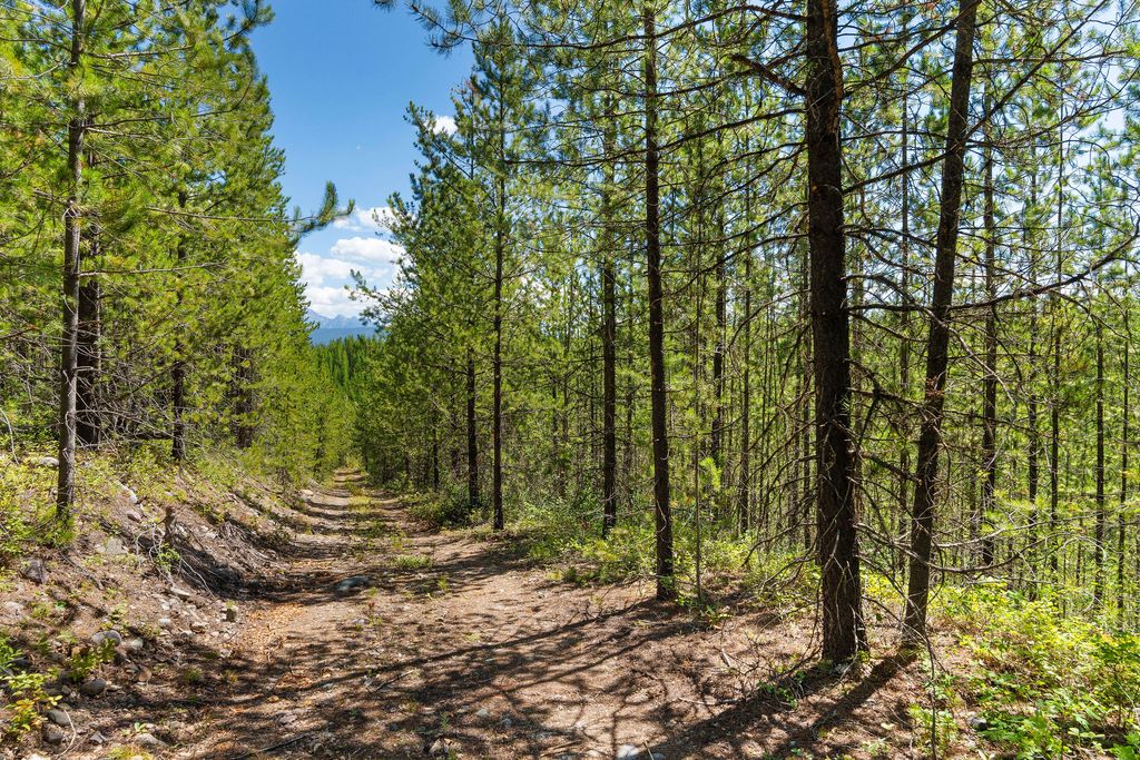 11680 North Fork Road, Polebridge, MT 59928 photo 20