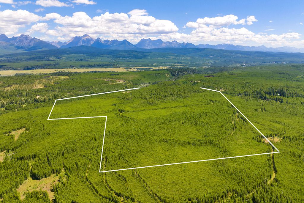 11680 North Fork Road, Polebridge, MT 59928 photo 21