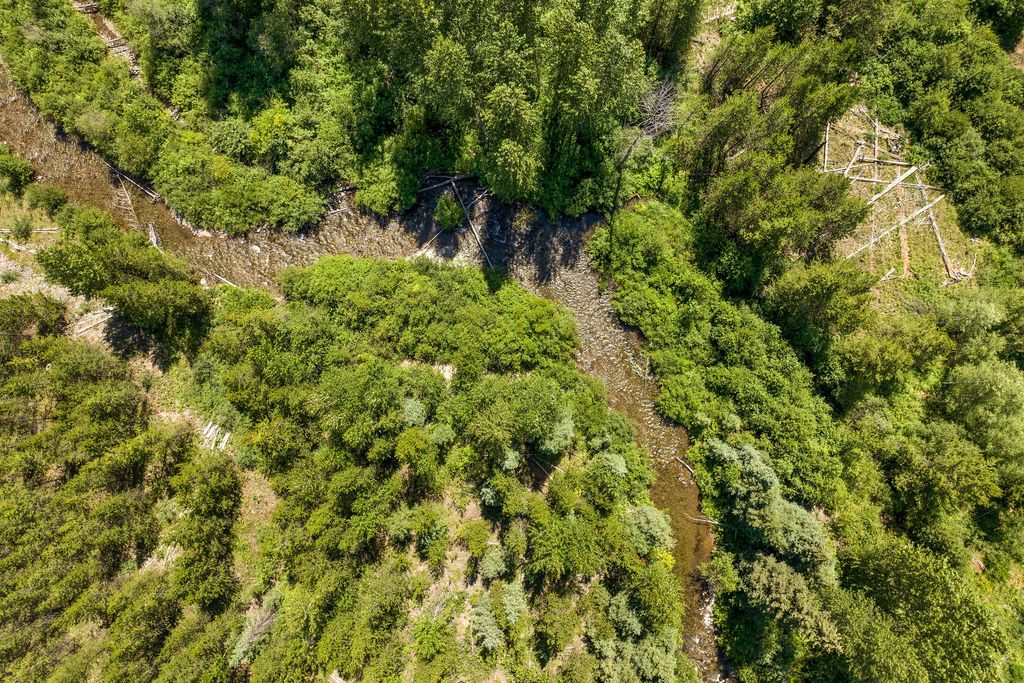 11680 North Fork Road, Polebridge, MT 59928 photo 25