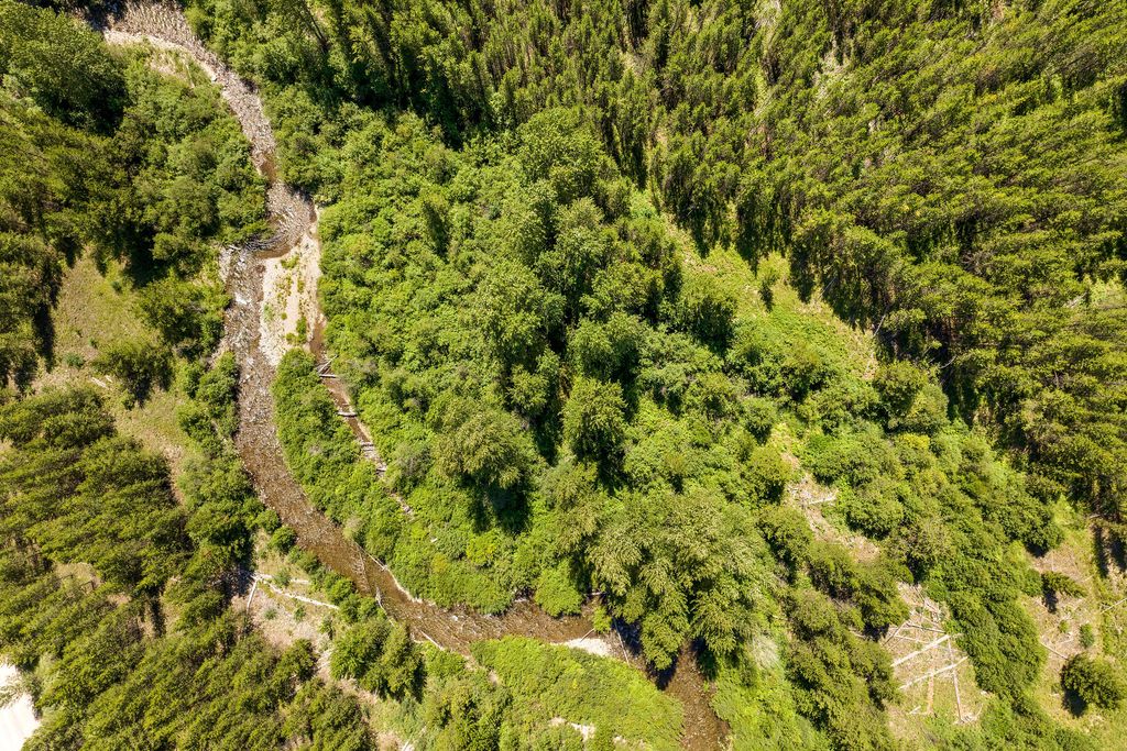 11680 North Fork Road, Polebridge, MT 59928 photo 26