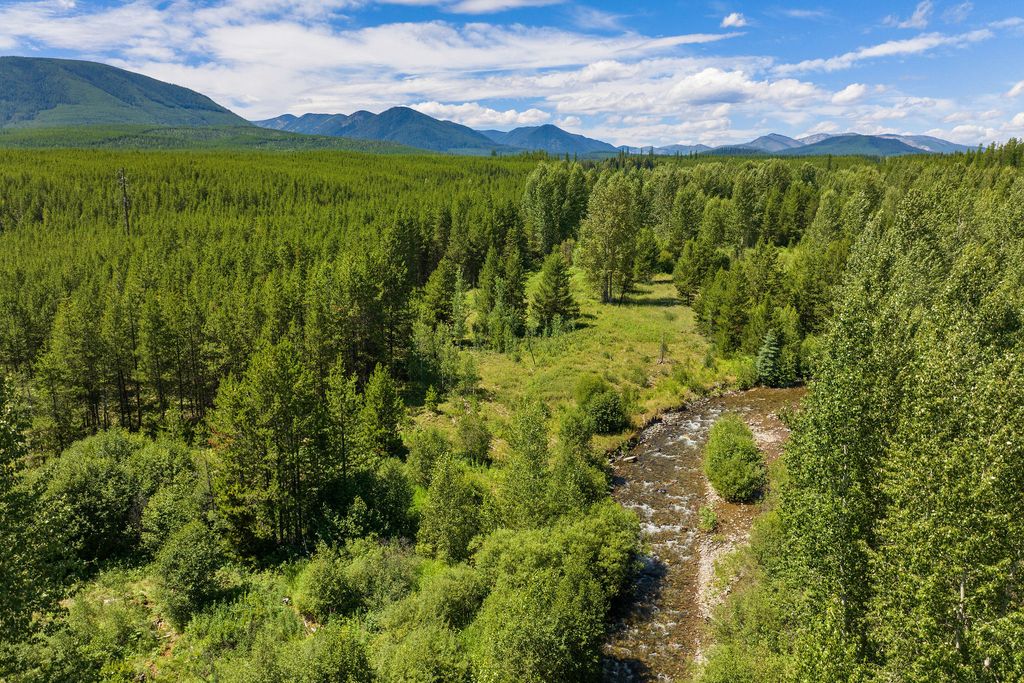 11680 North Fork Road, Polebridge, MT 59928 photo 27