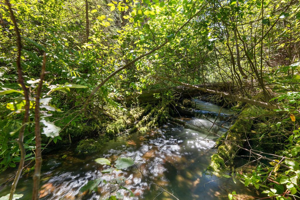 11680 North Fork Road, Polebridge, MT 59928 photo 29