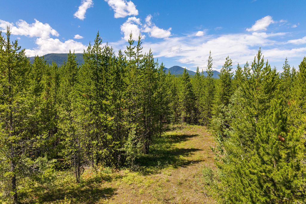 11680 North Fork Road, Polebridge, MT 59928 photo 30