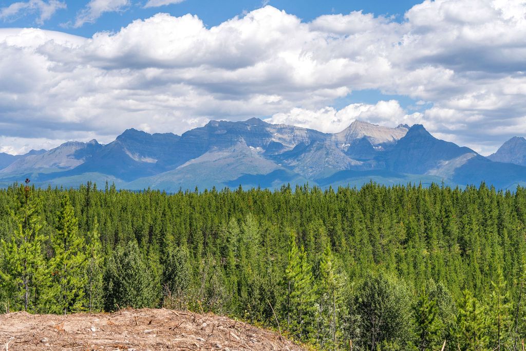 11680 North Fork Road, Polebridge, MT 59928 photo 6