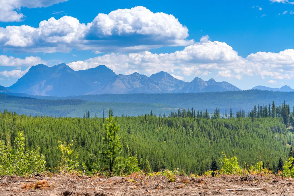 11680 North Fork Road, Polebridge, MT 59928 photo 8