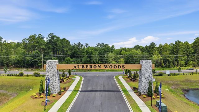 8093 Bear Claw Way, Conway, SC 29526