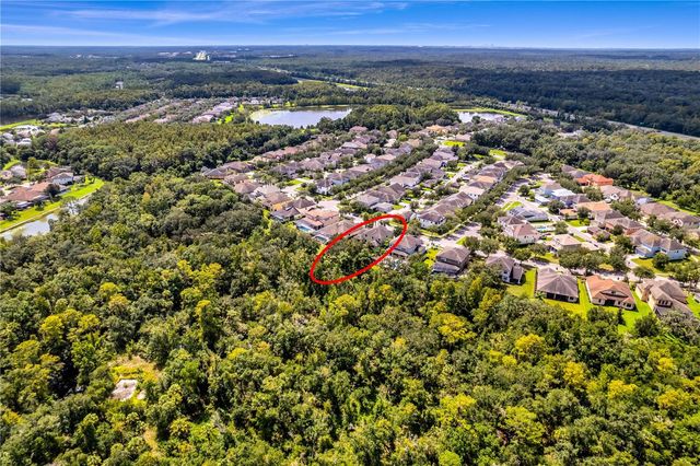 7931 HAMPTON LAKE DRIVE, Tampa, FL 33647