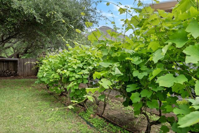 2725 Cedar Springs PL, Round Rock, TX 78681