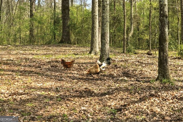 64 Timberland Court, Gay, GA 30218