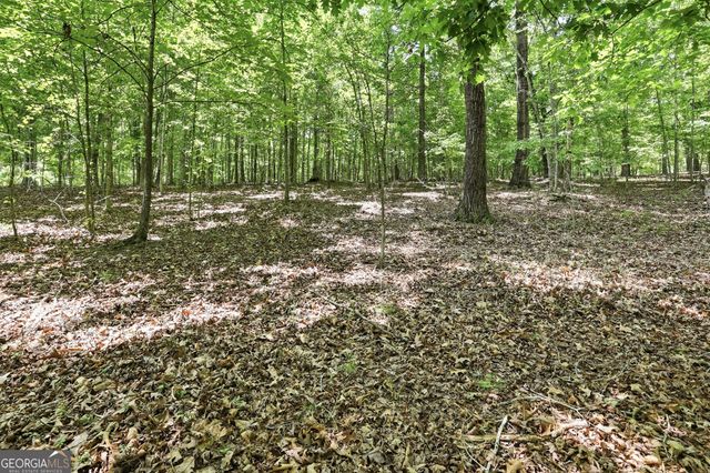 171 & 172 Laceola North Road, Cleveland, GA 30528