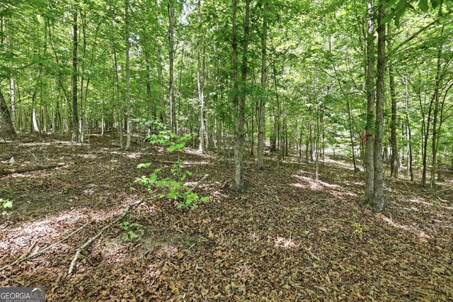 171 & 172 Laceola North Road, Cleveland, GA 30528