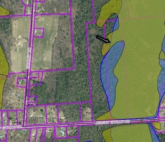 00 Jersey Swamp Approx #276, Plattsburgh, NY 12901