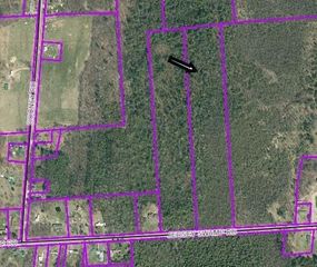 00 Jersey Swamp Approx #276, Plattsburgh, NY 12901