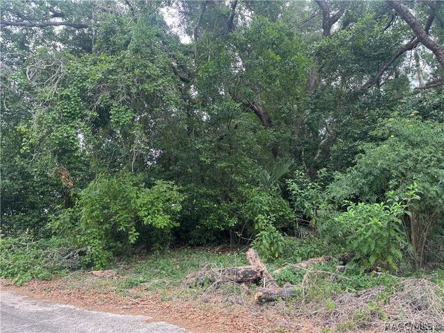 3638 E Lee Drive, Inverness, FL 34453