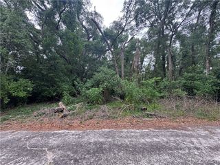 3638 E Lee Drive, Inverness, FL 34453