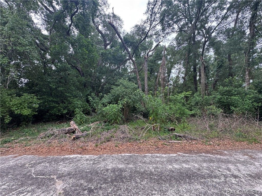3638 E Lee Drive, Inverness, FL 34453