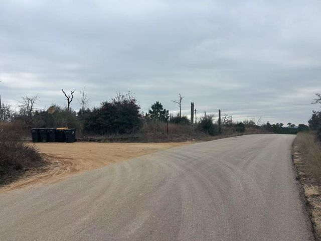 008 Agget RD, Smithville, TX 78957